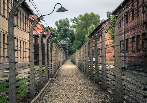 Auschwitz Birkenau  Private Tour | KRAKOW PRIVATE TOURS-1