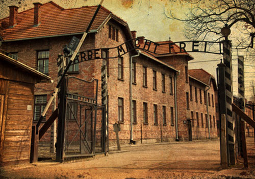 Auschwitz Birkenau  Private Tour | KRAKOW PRIVATE TOURS-3